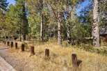 Nestled amongst mature pine trees, this property offers a serene and private setting.