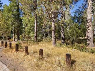 Nestled amongst mature pine trees, this property offers a serene and private setting.