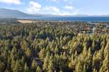 Experience the ultimate lakeside lifestyle with this stunning aerial view of a picturesque neighborhood nestled among towering pine trees.