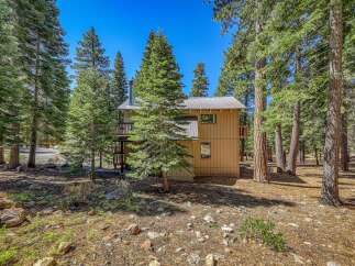 Nestled amidst towering pine trees, this charming home offers a serene mountain retreat.