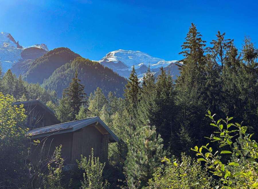 Nestled amidst lush greenery and towering pine trees, this charming property offers a serene mountain retreat.