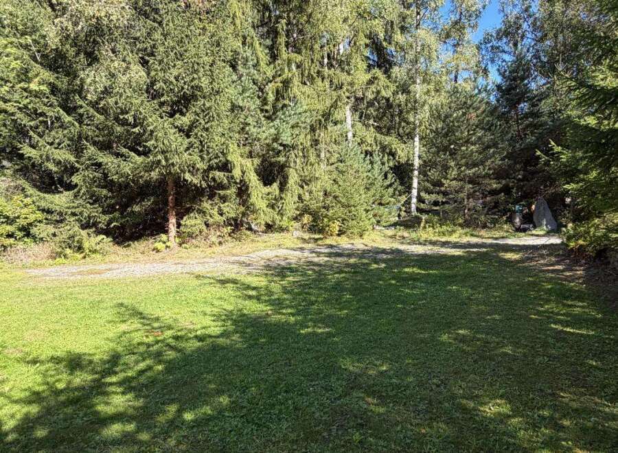 Discover this serene property nestled amidst a lush forest, offering a tranquil escape.