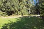 Discover this serene property nestled amidst a lush forest, offering a tranquil escape.