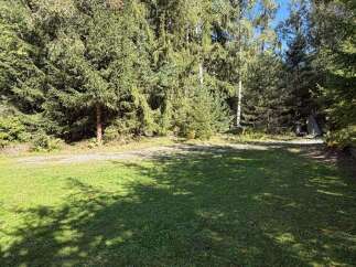 Discover this serene property nestled amidst a lush forest, offering a tranquil escape.