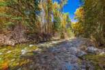 Experience the beauty of autumn with this stunning property featuring a crystal-clear river flowing through vibrant fall foliage.