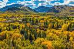 Experience the breathtaking beauty of autumn in this stunning mountain valley, showcasing vibrant golden aspen trees against a backdrop of majestic peaks.