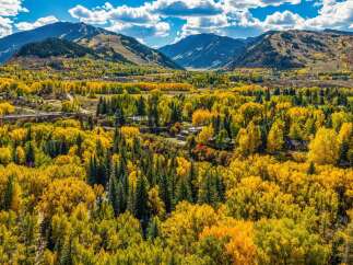 Experience the breathtaking beauty of autumn in this stunning mountain valley, showcasing vibrant golden aspen trees against a backdrop of majestic peaks.