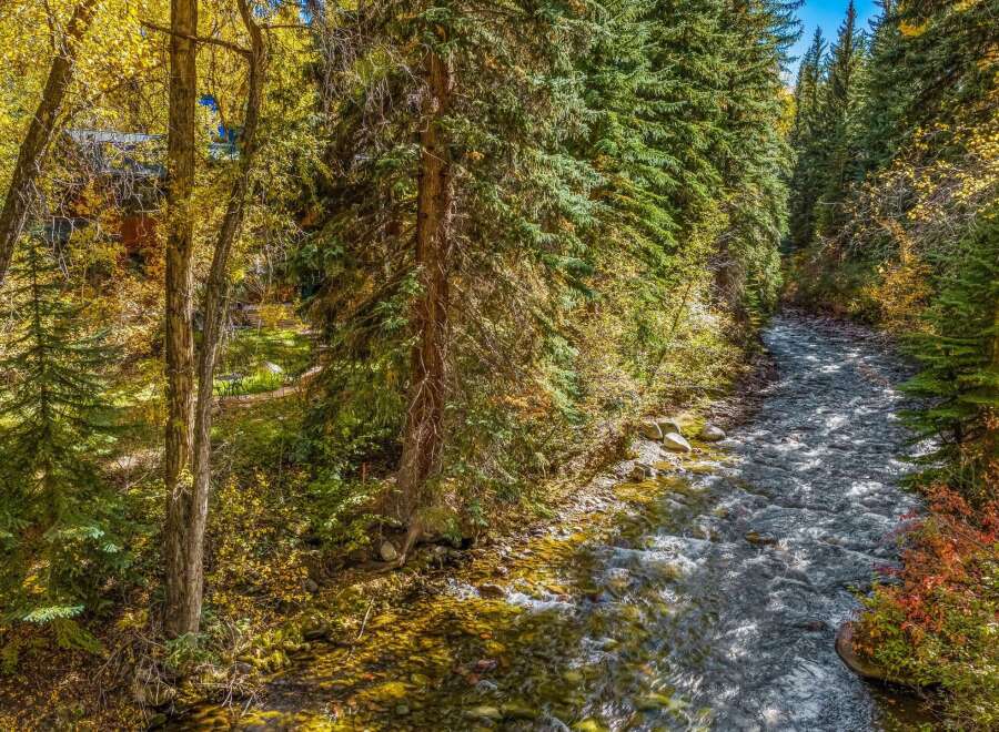 Nestled amidst a vibrant autumn forest, this property offers a serene escape with a charming creek flowing alongside.