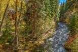 Nestled amidst a vibrant autumn forest, this property offers a serene escape with a charming creek flowing alongside.
