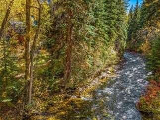 Nestled amidst a vibrant autumn forest, this property offers a serene escape with a charming creek flowing alongside.
