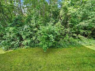 Enjoy the lush greenery and natural beauty surrounding this property, offering a private and serene backyard oasis.