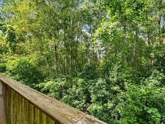 Enjoy the serene beauty of nature from your private balcony, overlooking a lush, green forest.