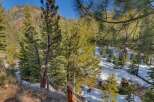 Experience the serene beauty of this mountain retreat, nestled amidst snow-dusted pines and a gentle stream.