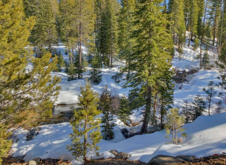 Escape to this serene winter wonderland, featuring a charming creek winding through a snow-covered forest.