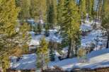 Escape to this serene winter wonderland, featuring a charming creek winding through a snow-covered forest.