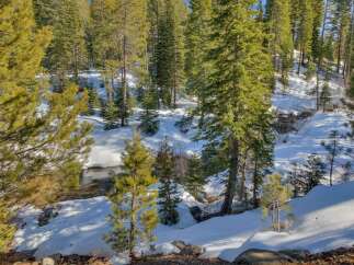 Escape to this serene winter wonderland, featuring a charming creek winding through a snow-covered forest.