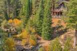 Nestled amidst a vibrant autumn forest, this stunning property offers a unique blend of natural beauty and modern living.