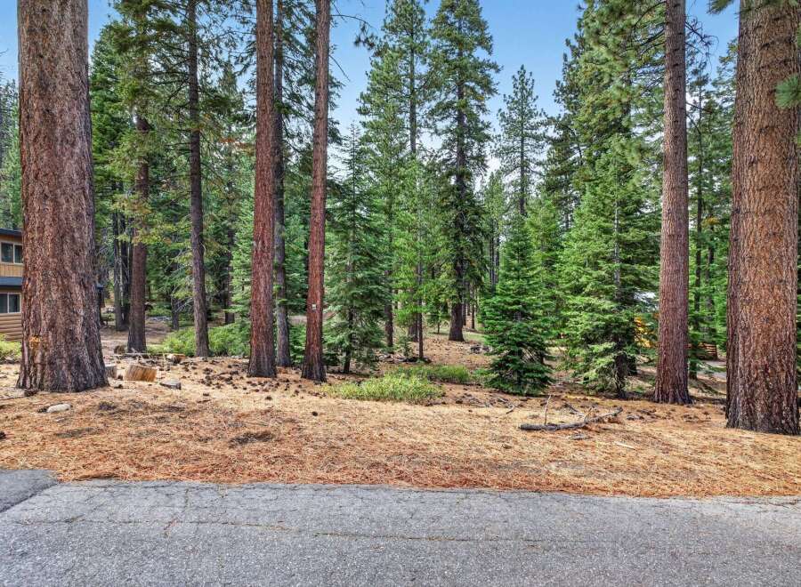 Nestled amongst towering pine trees, this property offers a serene and private retreat.
