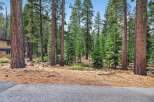 Nestled amongst towering pine trees, this property offers a serene and private retreat.
