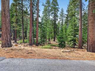 Nestled amongst towering pine trees, this property offers a serene and private retreat.