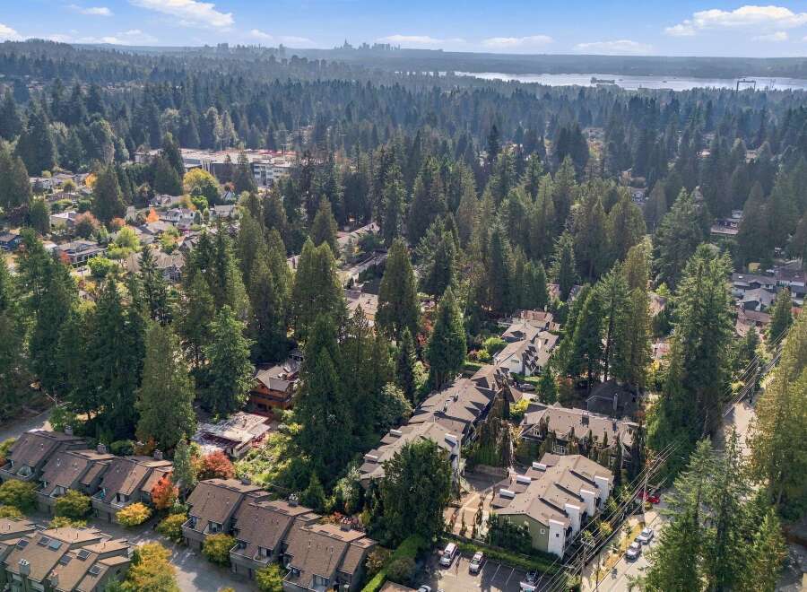 Discover this stunning aerial view of a suburban neighborhood nestled amongst lush evergreen trees, showcasing a harmonious blend of modern townhouses and single-family homes.