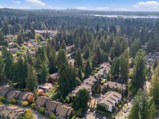 Discover this stunning aerial view of a suburban neighborhood nestled amongst lush evergreen trees, showcasing a harmonious blend of modern townhouses and single-family homes.