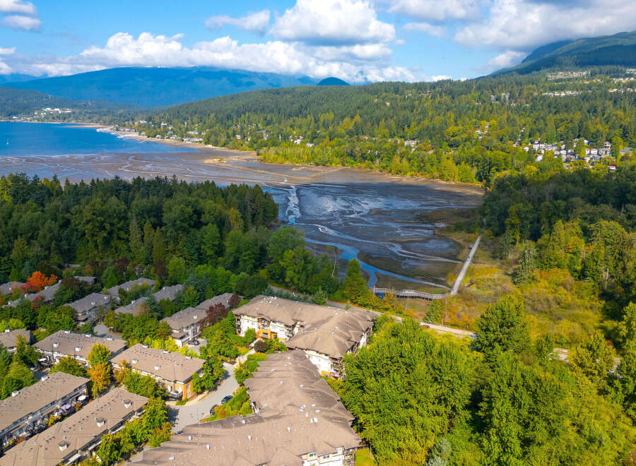 Discover this stunning aerial view of a residential community nestled amidst lush greenery and overlooking a serene body of water.