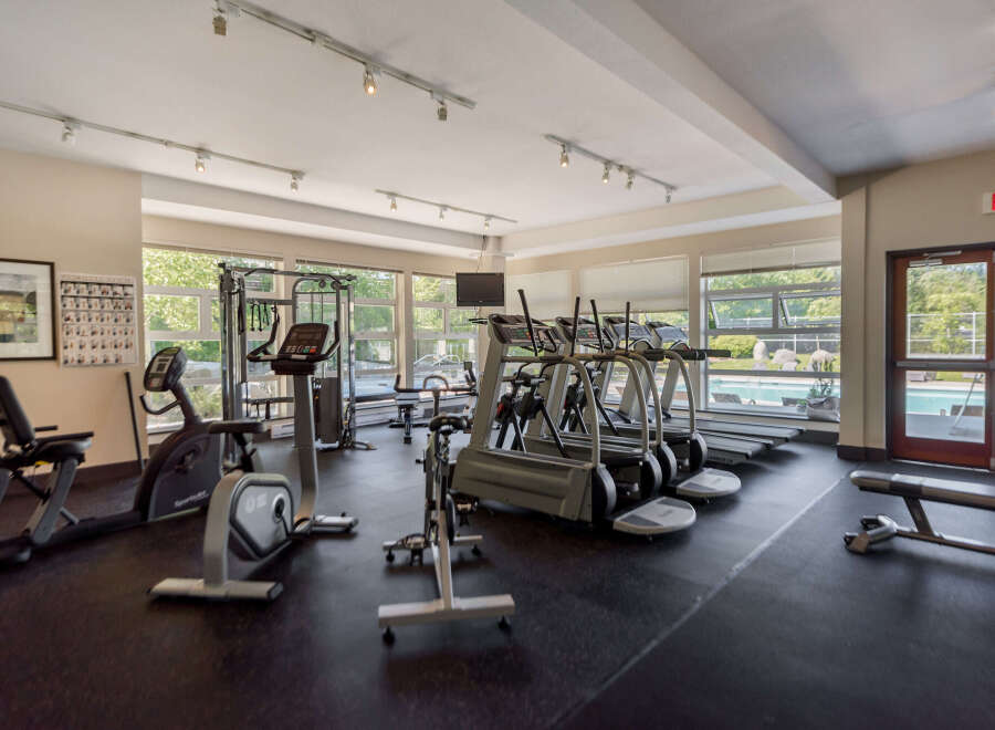 Stay active and healthy in this well-equipped fitness center, featuring a variety of cardio machines like treadmills and stationary bikes.