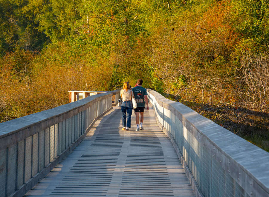 Enjoy a scenic stroll on this charming boardwalk, perfect for appreciating the vibrant autumn foliage.