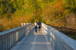 Enjoy a scenic stroll on this charming boardwalk, perfect for appreciating the vibrant autumn foliage.