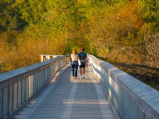 Enjoy a scenic stroll on this charming boardwalk, perfect for appreciating the vibrant autumn foliage.
