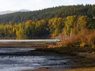 Discover this stunning waterfront property, perfect for those seeking tranquility and natural beauty.