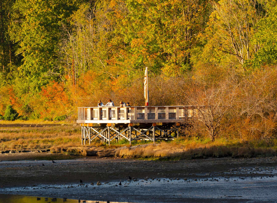 Experience the beauty of nature from this elevated boardwalk, perfect for observing wildlife and enjoying scenic views.