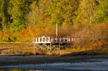 Experience the beauty of nature from this elevated boardwalk, perfect for observing wildlife and enjoying scenic views.
