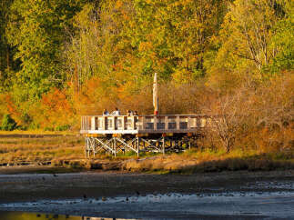 Experience the beauty of nature from this elevated boardwalk, perfect for observing wildlife and enjoying scenic views.