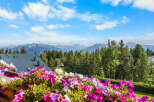 Experience breathtaking mountain views from this stunning property, featuring a beautifully maintained roof and a vibrant balcony overflowing with colorful flowers.
