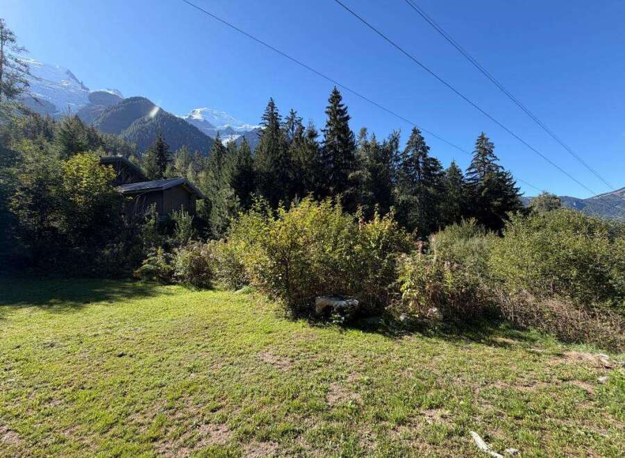 Nestled amidst lush greenery and towering pine trees, this charming cabin offers a serene mountain retreat.