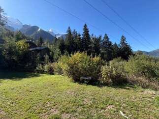 Nestled amidst lush greenery and towering pine trees, this charming cabin offers a serene mountain retreat.