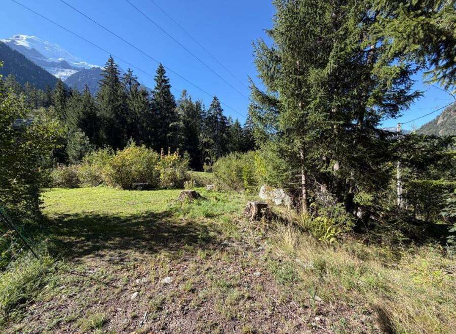 Discover this stunning property nestled amidst the majestic Alps, offering breathtaking mountain views and a serene forest backdrop.