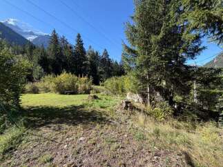 Discover this stunning property nestled amidst the majestic Alps, offering breathtaking mountain views and a serene forest backdrop.