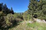 Discover a serene mountain landscape perfect for your dream home or retreat.