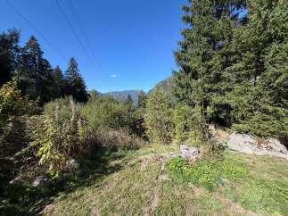 Discover a serene mountain landscape perfect for your dream home or retreat.