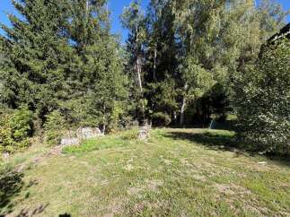 Discover this charming property nestled amidst lush greenery and mature trees, offering a serene and private backyard oasis.