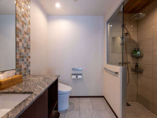 Experience modern luxury in this stunning bathroom, featuring a sleek granite vanity and a spacious walk-in shower with elegant tilework.