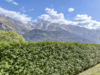 Experience breathtaking mountain views from this property, framed by a lush green hedge.