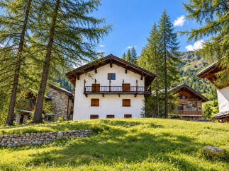 Nestled amidst lush greenery and towering pine trees, this charming alpine village offers a serene escape.