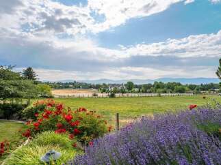 Experience serene country living with this stunning property, boasting vibrant red roses and fragrant lavender in the foreground.