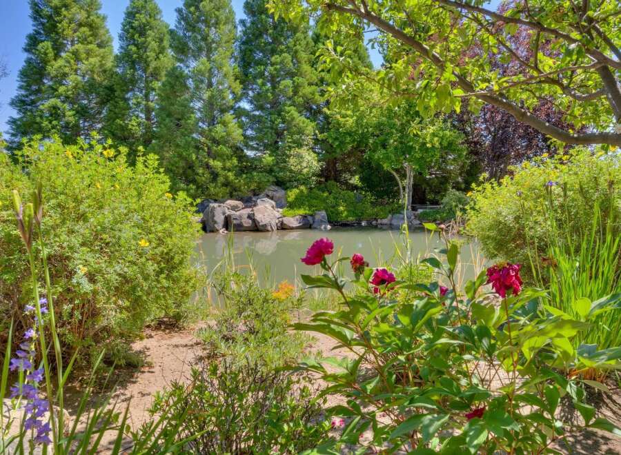Discover a serene oasis with this stunning garden featuring a tranquil pond surrounded by lush greenery and vibrant flowers.