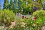 Discover a serene oasis with this stunning garden featuring a tranquil pond surrounded by lush greenery and vibrant flowers.
