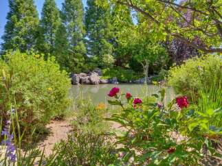 Discover a serene oasis with this stunning garden featuring a tranquil pond surrounded by lush greenery and vibrant flowers.